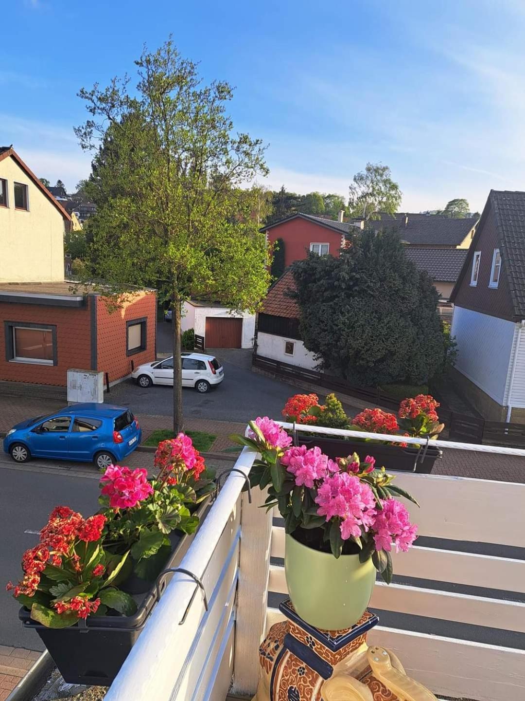 FeWo im Harz Bad Harzburg Zewnętrze zdjęcie